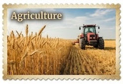 Agriculture