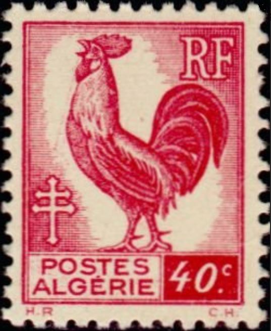 Coq d'Alger