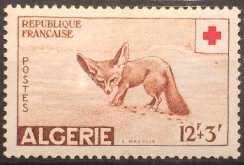 Fennec Au profit de la Croix Rouge