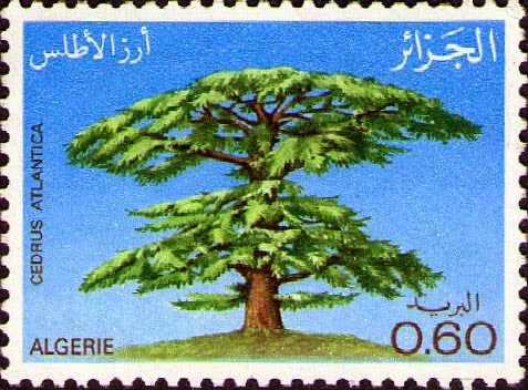 Journée Mondiale de l'Arbre