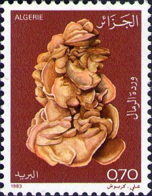 Fleur du Desert (Rose des Sables)