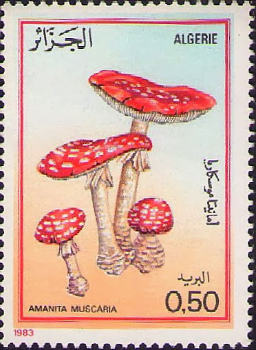 Amanita muscaria