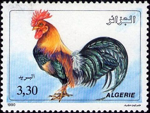 Coq