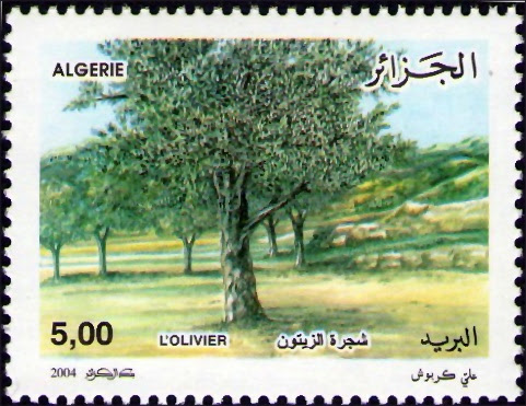 L’Olivier - Journée Mondiale de l'Arbre