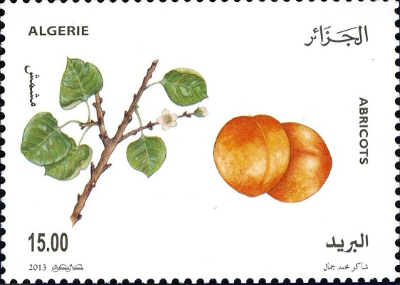 Production fruitière - Abricots