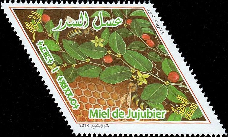 Miel de jujubier (Sidr)