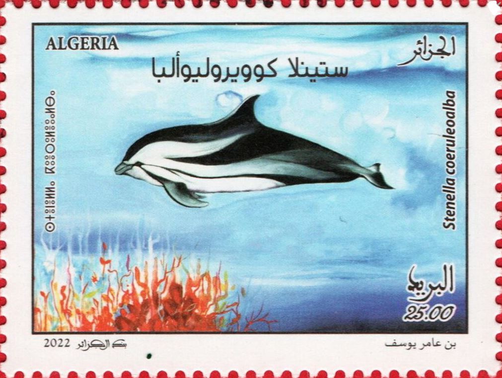 Stenella coeruleoalba