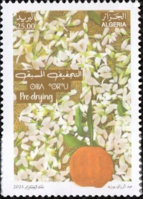 Les étapes de production d’eau de fleur d’oranger